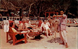 Stock #156980 Thumbnail