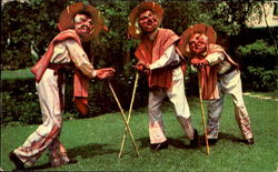 La Danza De Los Viejitos Postcard