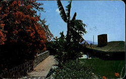 Our Cabana Apartado Postal 406 Cuernavaca, MOR Mexico Postcard Postcard