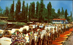 The Xochimilco Wharf Postcard