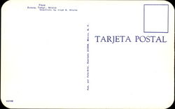 back