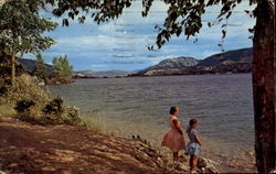 Along The Shores Of Beautiful Woods Lake Postcard