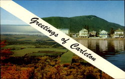 Greetings Of Carleton Postcard