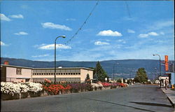 Street Scene Postcard