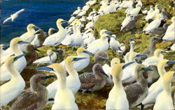 Stock #157254 Thumbnail