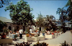 Myrtle Bank Patio Postcard