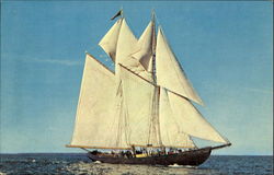 Bluenose Ii Postcard