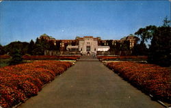 Botanicla Gardens Postcard