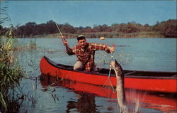 A Tough One Ot Land Postcard