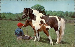 Greetings From Georgetown Postcard