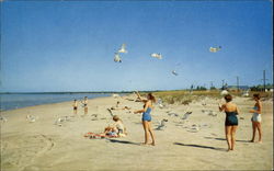 Greetings From Delmonte In The Pines, Sparrow Lake Postcard