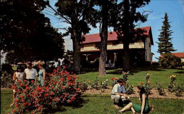 The Balsam Shade Greenville New York