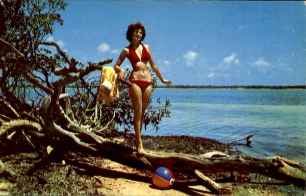 Let's Play Ball In Sunny Florida Swimsuits & Pinup