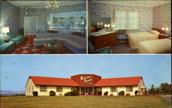 The Balsam Shade Postcard
