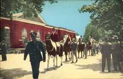 Belmont Park New York Postcard Postcard