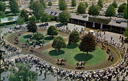 Monmouth Park Oceanport, NJ Postcard Postcard