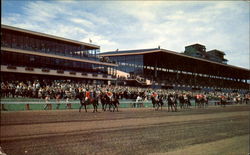 Suffolk Downs Postcard