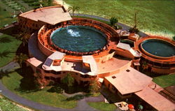 Close-Up Of Miami's Fabulous Seaquarium Postcard