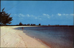 Grand Cayman Cayman Islands Caribbean Islands Postcard Postcard