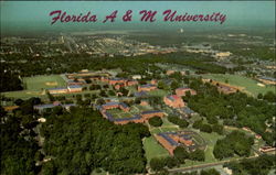 Florida A & M. University, University Campus Tallahassee, FL Postcard Postcard