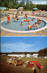 Pine Springs Vacation Resort Freehold, NY Postcard Postcard