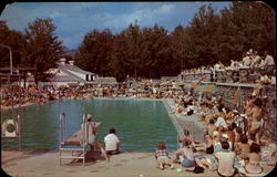 Sugar Maples Swimming Pool Maplecrest, NY Postcard Postcard