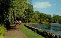 Cycling Around Swan Lake Postcard