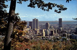 Stock #158722 Thumbnail