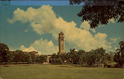 University Of Puerto Rico Campus Postcard