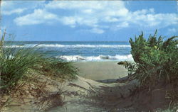 The Sand Dunes Of Jones Beach State Park Wantagh, NY Postcard Postcard