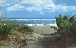 The Sand Dunes Of Jones Beach State Park Postcard