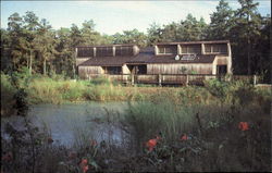 Loxahatchee National Wildlife Refuge Postcard