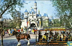 Sleeping Beauty Castle Fantasyland Postcard