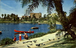 Macarthur Park Postcard