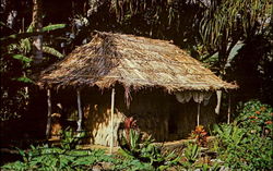 The Waioli Tea Room, Manoa Valley Postcard