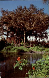 Swiss Family Island Treehouse Postcard