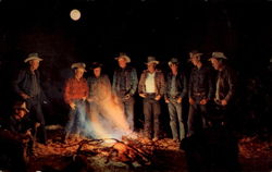 Under The Light Of The Western Moon Postcard