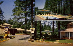 Pink Lantern Motel, 5799 Wildwood Lane Paradise, CA Postcard Postcard
