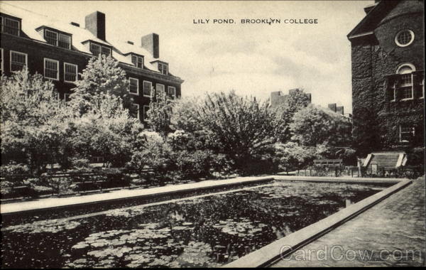 Lily Pond, Brooklyn College New York