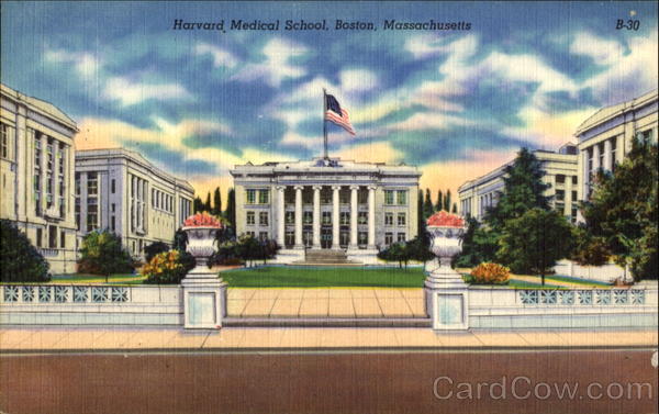Harvard Medical School Boston Massachusetts