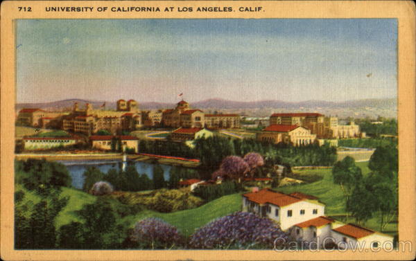 University Of California Los Angeles