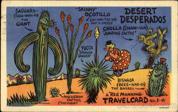 Desert Desperados Cactus & Desert Plants