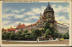 American Museum Of Natural History Postcard