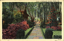 Scene In Bellingrath Gardens Mobile, AL Postcard Postcard