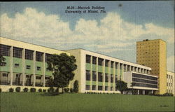 Merrick Building, University of Miami Florida Postcard Postcard