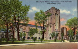 The Payne Whitney Gymnasium, Yale University Postcard