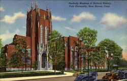 Peabody Museum Of Natural History, Yale University Postcard