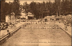 The Sugar Maples Swimming Pool The Sugar Maples Swimming Pool