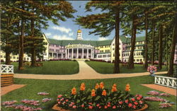 Sagamore Hotel Postcard