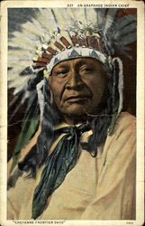 An Arapahones Indian Chief Native Americana Postcard Postcard